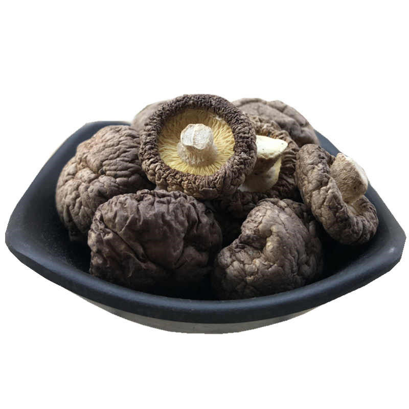 香菇干货金钱菇新鲜足干