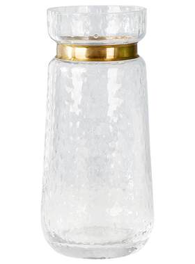 水培客厅植物桌面装饰品玻璃花瓶
