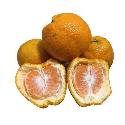 特级瓯柑温州丽水苦橘瓯果桔子