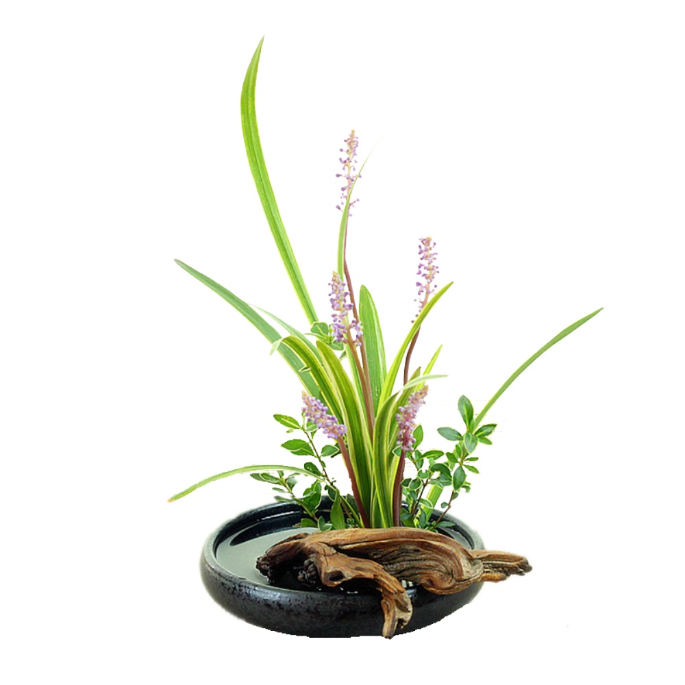 劍山復(fù)古風(fēng)淺盤中式寫景日式花道