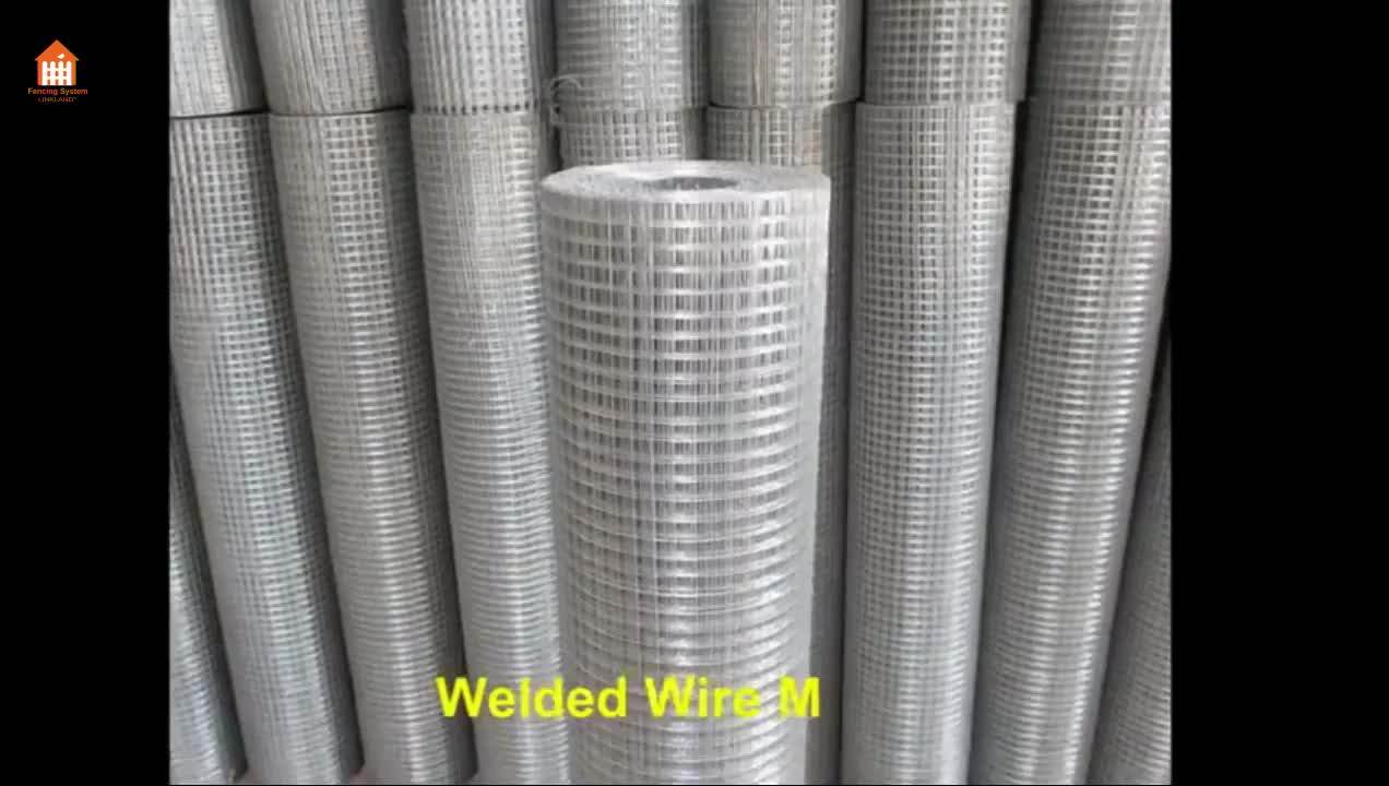 Galvanized 10 Gauge Welded Wire Mesh Manufacturer In China Buy 10