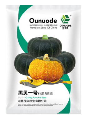 中科蔬菜种子贝贝南瓜贵族