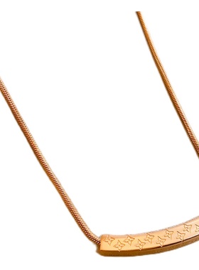 简约嘻哈风项链女玫瑰金色小众冷淡风潮网红气质锁骨链钛钢饰品