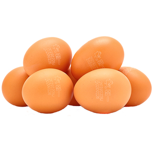 朝一可生食鲜鸡蛋150枚 日料理店供货可生吃寿喜锅上海整箱