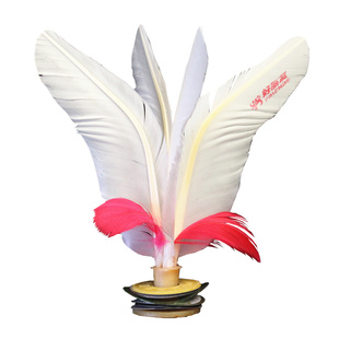 好朋友毽球成人广场比赛训练小学生毛毽子儿童学校运动健身毽包邮