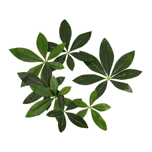 仿真叶子植物墙装饰招财叶过胶手感水果店叶子垫篮人造发财树叶片