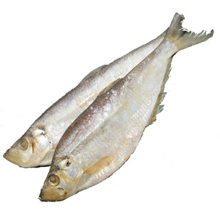 老山东特产腌制白鳞鱼南洋鱼力鱼勒鱼货郎鱼半干咸鱼鲞梅香鱼450g