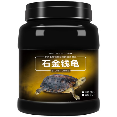 德瑞越南黄喉拟水龟蛋龟南石龟