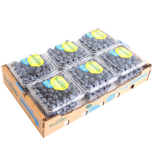 礼盒装超甜Driscoll's蓝莓赠礼