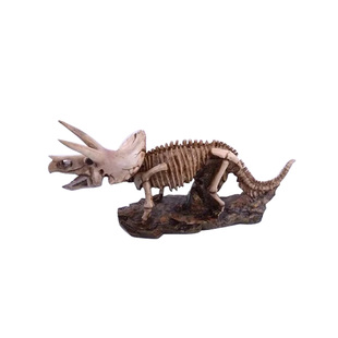 三角龙模型玩具化石仿真暴龙翼龙霸王龙双冠龙骨骼角鼻龙模型包邮