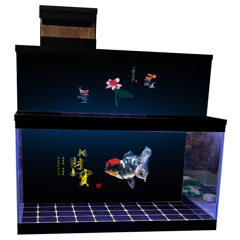 定制订做金鱼鱼缸兰寿壁画立体