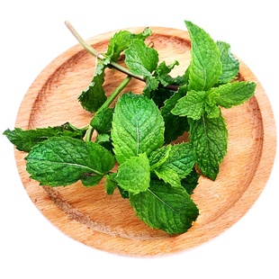 绿食者 薄荷叶250g 当天采摘 新鲜可食用薄荷 清凉烘焙新鲜香料