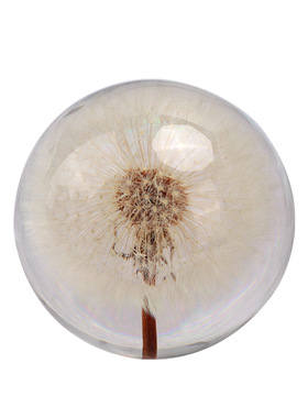 蒲公英标本水晶球滴胶成品永生花樱花玫瑰花树脂标本情侣生日礼物