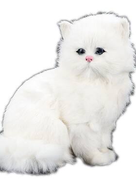 仿真猫咪波斯猫模型家居饰品大猫
