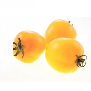 黄珍珠小番茄种子 小西红柿圣女果樱桃番茄籽 四季阳台田园大棚播