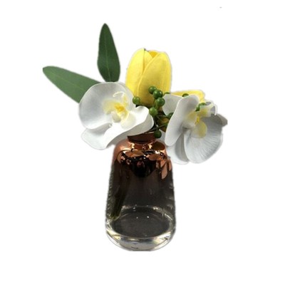 上海WULIFLOWER蝴蝶兰花