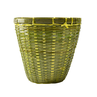 益蜂出口系列蜜蜂王笼捕王中意蜂针式书夹式囚王扣王关王育王台基