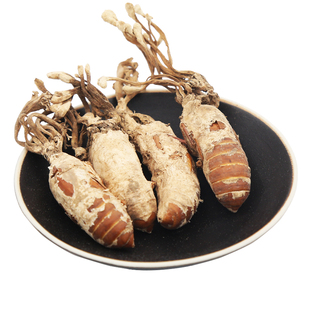 2025大别山金蝉花野生新货250g婵花蝉花虫草孢子粉知了金蚕花禅花