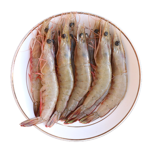 渤海湾鲜活野生小活虾海虾对虾新鲜海捕小嘎巴虾夹巴虾活立虾红虾