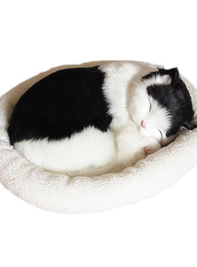 会呼吸的猫仿真小猫毛绒玩具