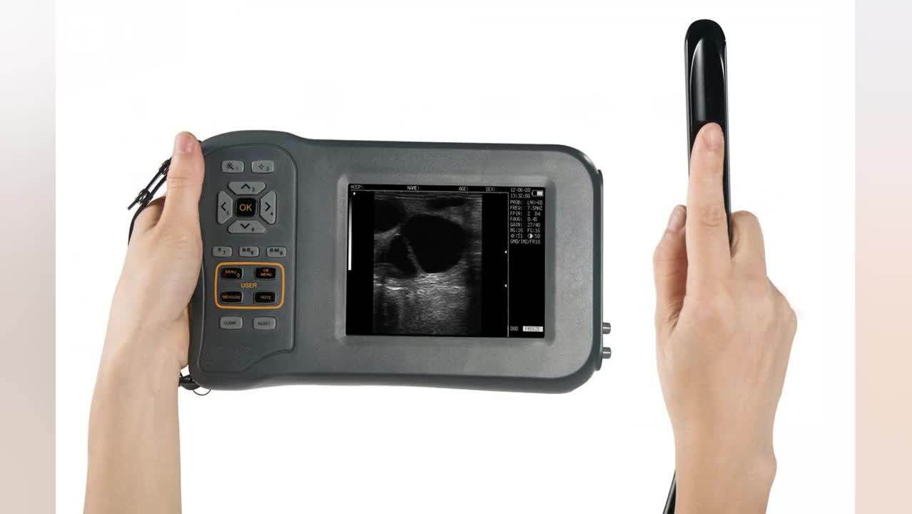 Easy-to-use Vet Ultrasound Machine Equipment Portable Handheld