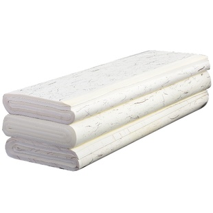 加厚半生熟书画作品纸100张初学者书法专用练习纸写毛笔字国画作品四尺六尺对开小楷工笔国画纸