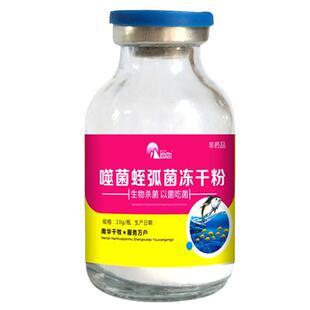 弧菌清小龙虾蟹鱼塘水产养殖用非噬菌蛭弧菌冻干粉噬菌肽弧菌速净