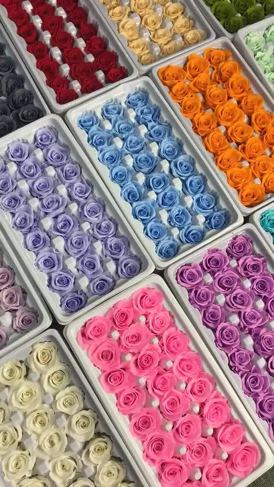 Preserved Real Immortal Roses Preserved Flowers Valentine Day Gift