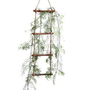 【蕾欣】黑骨芒绿植藤条蔓藤缠绕装饰爬藤蕨类绿植藤条造景点缀