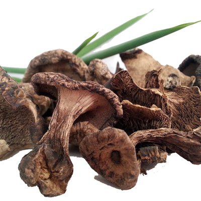 云南特产野生黑虎掌菌