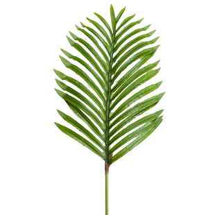 仿真假树枝塑料树叶婚庆道具配材铁树叶散尾叶针葵叶插花绿叶布景