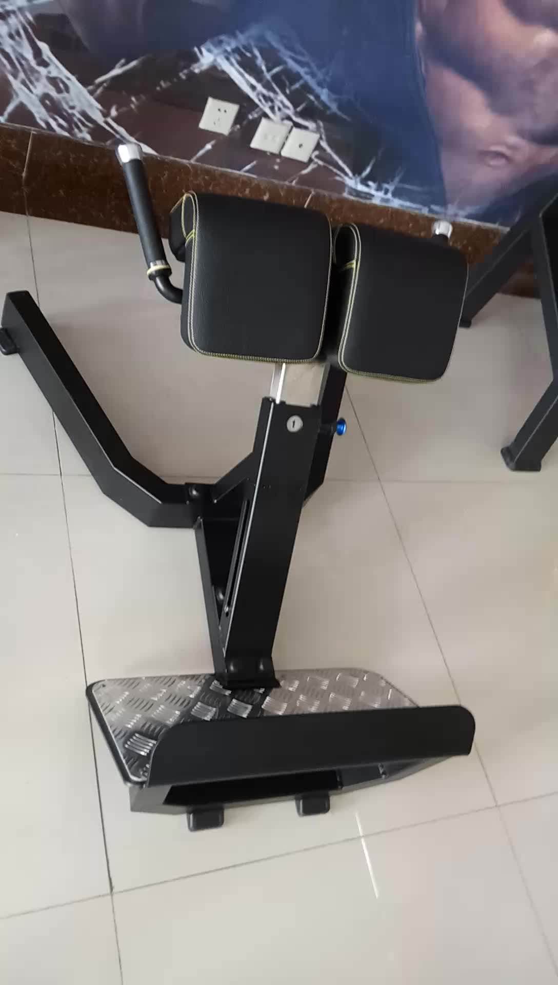 Back Extension Body Building Apparatus In Gym Equipment Buy Back