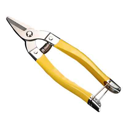 罗定新款柑桔中号圆头摘果剪