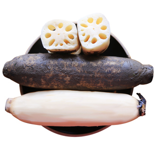 洪湖王文娟新鲜莲藕2000g4斤童子藕小藕煲汤粉藕现挖带泥红湖藕