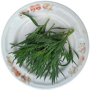 扫帚菜现摘现发山东儿时野菜纯野生地肤子嫩尖蒸菜野菠菜带箱5斤
