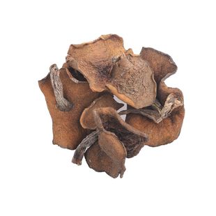 25年新货东北特产野生松蘑菇 野生松菇松蛾粘团子干货黄滑松茸土