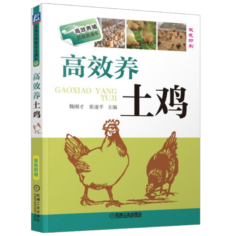 高效养土鸡双色印刷养鸡技术蛋鸡养殖技术书籍大全鸡病鉴别诊断图谱与防治土鸡散养鸡养殖及用药鸡白痢药手册笼养肉鸡精益管理