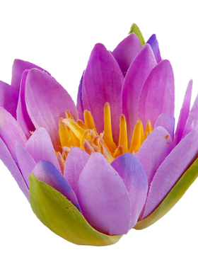 晶华仿真花浮莲仿真睡莲道具