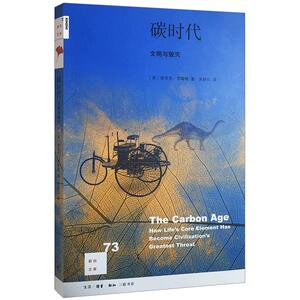 【中信书店 正版书籍】碳时代：文明与毁灭