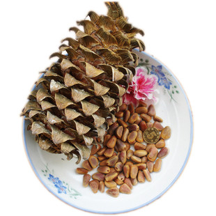 长白山野生松子东北野生海松子原味未加工生松籽500g两斤起送钳子