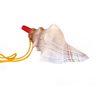 天然贝壳海螺工艺品赤旋螺哨口哨儿童特色小礼物小孩玩具吹号挂件