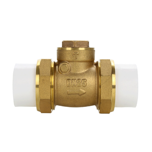 PPR双活接全铜止回阀 ppr黄铜卧式止回阀4分6分20 25逆止阀单向阀