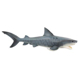 仿真海洋生物动物模型玩具小海豚小鲨鱼大白鲨灰鲭鲨虎鲨儿童认知