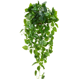假花仿真壁挂植物吊兰客厅藤蔓装饰绿植仿真绿萝吊篮盆栽吊顶装饰