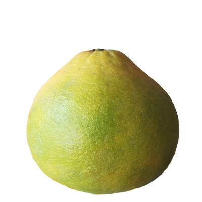 广西特产纯甜正宗容县沙田柚