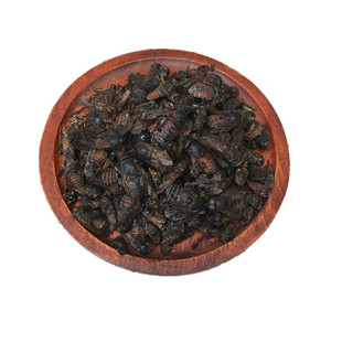 牛虻虫中药材牛苍蝇牛虻牛牤虫 牛氓虫 牛虻虫50g