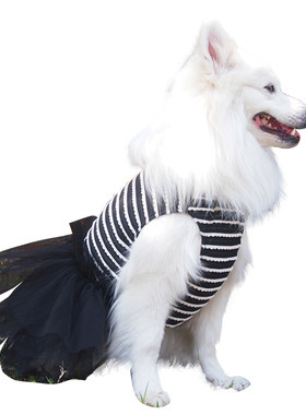 婚纱礼服春夏装边牧可卡中大型犬