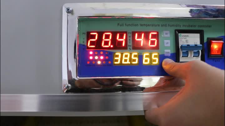 Ssd-3168 High Quality Solar And Electric Power Chicken Egg ...