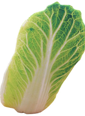 仿真个性青菜土豆西兰花玩偶抱枕