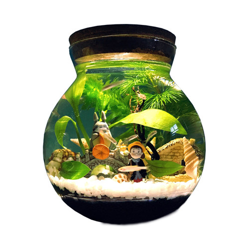 五年级科学生态瓶鱼微景观水族箱造景斗鱼缸办公桌面客厅玻璃鱼缸